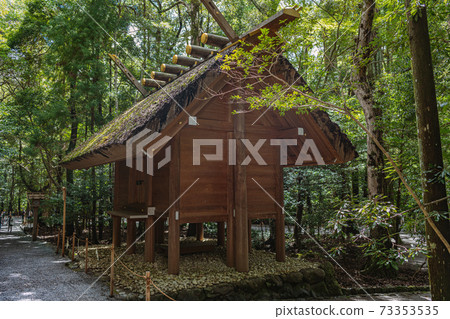 伊勢神宮大倉大奈在森林裡 73353535