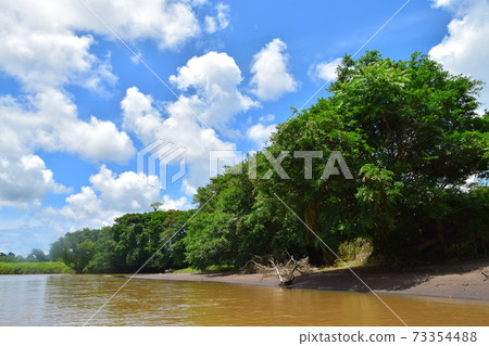 Jungle Cruise in Tortuguero, Costa Rica 73354488