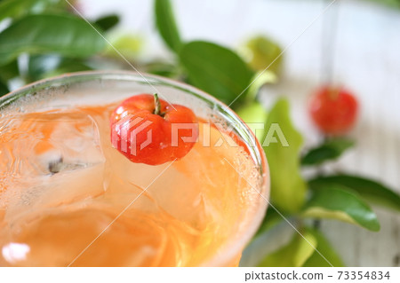 夏季感冒針葉樹飲料圖像 夏季感冒針葉樹飲料圖像 73354834