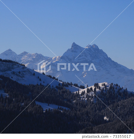 Dents du Midi in winter seen from Isenau, Switzerland. Dents du Midi in winter seen from Isenau, Switzerland. 73355017