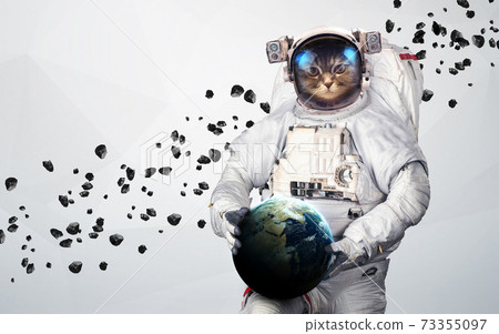 Cat Astronaut in outer space Cat Astronaut in outer space 73355097