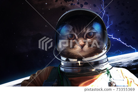 Cat astronaut in space Cat astronaut in space 73355369