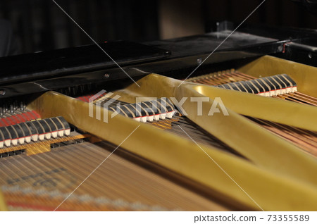 Inside of grand piano. Close-up view of hammers, strings inside the piano.  73355589