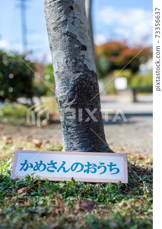 樹樁藝術標籤 73356637