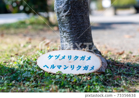 樹樁藝術標籤 73356638