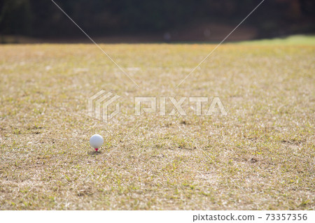 Teeing ground golf ball 73357356