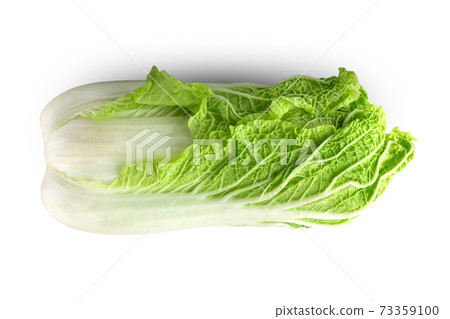 Peking cabbage on a white background. Fresh Peking cabbage close up isolated on white background. Peking cabbage on a white background. Fresh Peking cabbage close up isolated on white background. 73359100