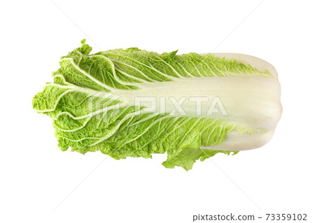 Peking cabbage on a white background. Fresh Peking cabbage close up isolated on white background. 73359102