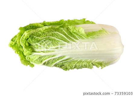 Peking cabbage on a white background. Fresh Peking cabbage close up isolated on white background. 73359103