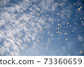 White balloons in the blue sky 73360659