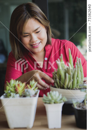 woman planting succulent at little home garden woman planting succulent at little home garden 73362640