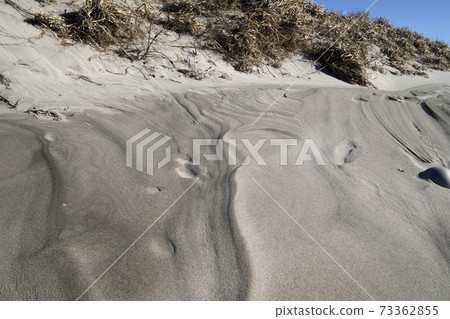 沙丘圖案Chihama沙丘 沙丘圖案Chihama沙丘 73362855