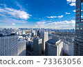 [東京]新宿區政府展望台[2020年冬季] 73363056