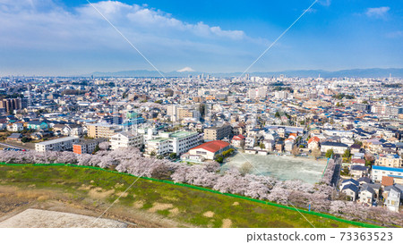 鳥瞰“ Sa玉縣” Minuma稻田櫻花走廊 73363523