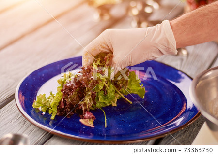 Chef putting green salad on porcelain plate. 73363730