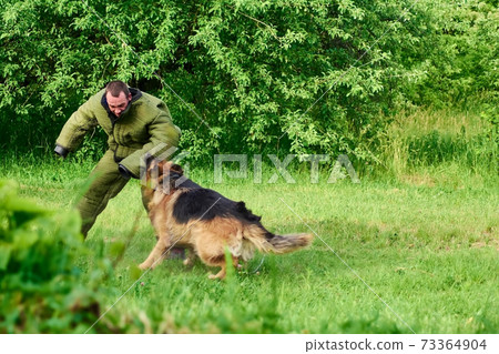 The big hairy dog is catching the figurant as if he was a criminal. 73364904