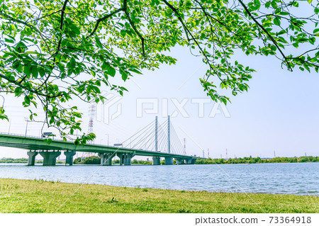 春天的靈魂大橋,y子和鮮綠色 春天的靈魂大橋,y子和鮮綠色 73364918