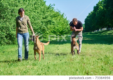 People are doing exercises with their dogs. People are doing exercises with their dogs. 73364956