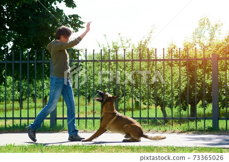 The woman is raising her right hand up to make her dog jump. 73365026