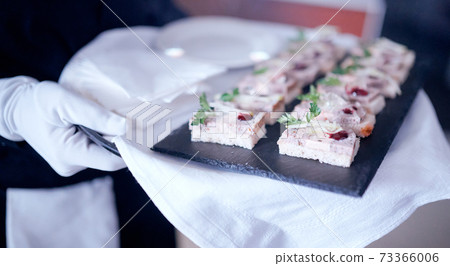 woman waiter with tray with canape on white napkin 73366006