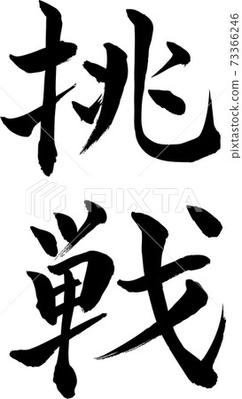 挑戰 73366246