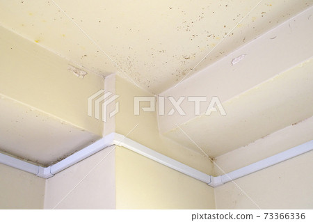 Dirty bathroom / ceiling / wall corners 73366336