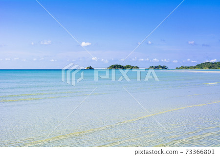 Beautiful coral reef sea on Bintan Island Beautiful coral reef sea on Bintan Island 73366801