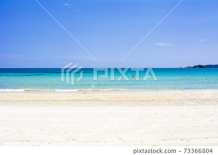 Beautiful coral reef sea on Bintan Island Beautiful coral reef sea on Bintan Island 73366804