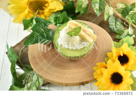 甜瓜和香草冰淇淋 73368972