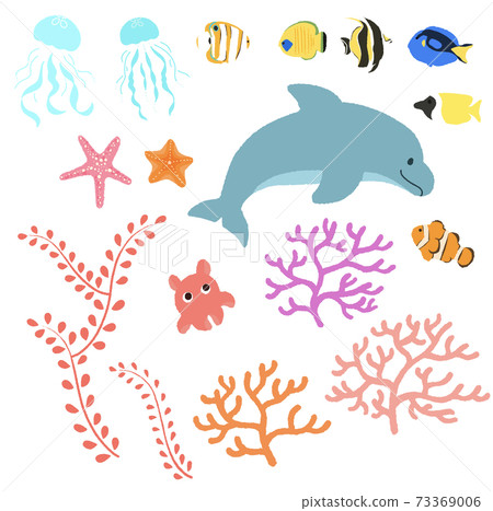 Fish and dolphins in the sea Fish and dolphins in the sea 73369006