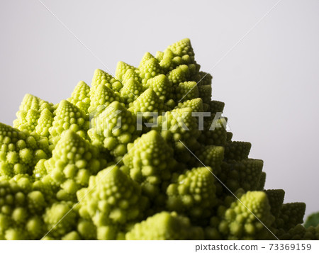 Romanesco 73369159