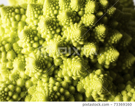 Romanesco 73369160