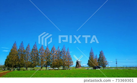 A windmill towering over a tree-lined road in the meadow A windmill towering over a tree-lined road in the meadow 73369301