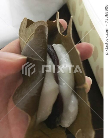 Homemade Kashiwa mochi 73369906