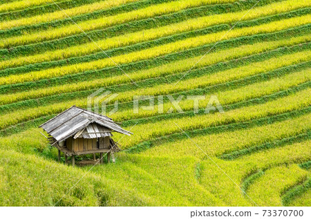 Mu Cang Chai Mu Cang Chai 73370700