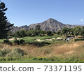 golf course, palm springs 73371195