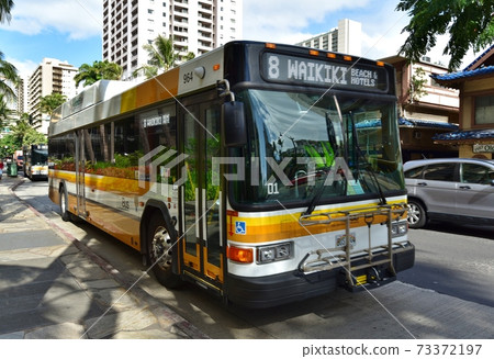Holidays in Hawaii Holidays in Hawaii 73372197