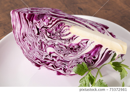Cross section of purple cabbage fresh 73372981