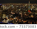 地面以上60層的東京夜景 73373083
