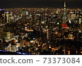地面以上60層的東京夜景 73373084