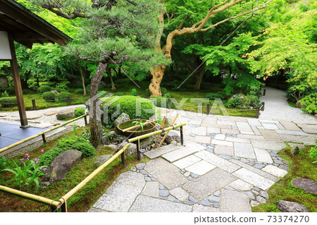新綠的新光寺 73374270