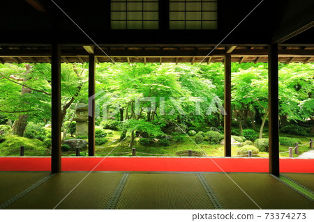 Shinkoji Temple of the New Green 73374273