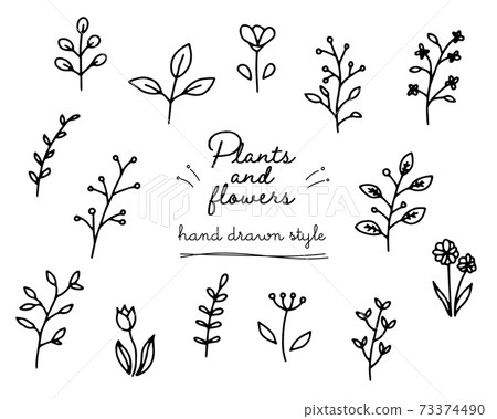 一組手繪植物插圖，樹葉，花朵，簡單的材料，時髦的樹葉 73374490