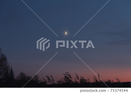 moon in the sky moon in the sky 73374544