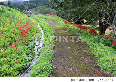 Hiziesawa Higanohana Park Hiziesawa Higanohana Park 73374775