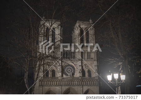 Notre Dame at night 73375017