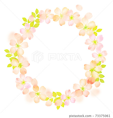 Cherry blossom wreath background material Cherry blossom wreath background material 73375061