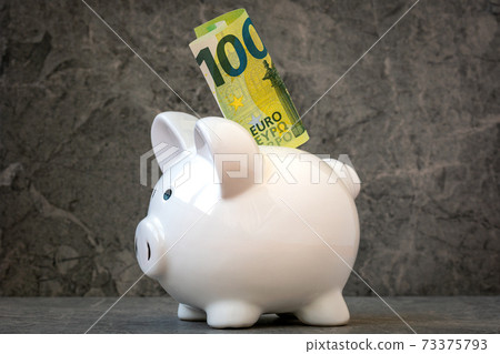 Piggy bank with one hundred Euro note 73375793