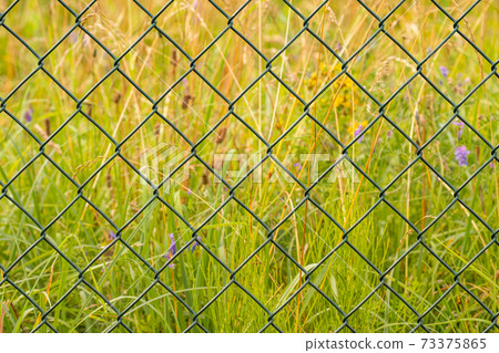 Metal mesh on a nature background Metal mesh on a nature background 73375865