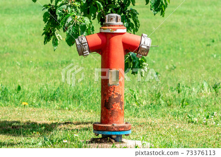 Red Fire Hydrant under tree 73376113